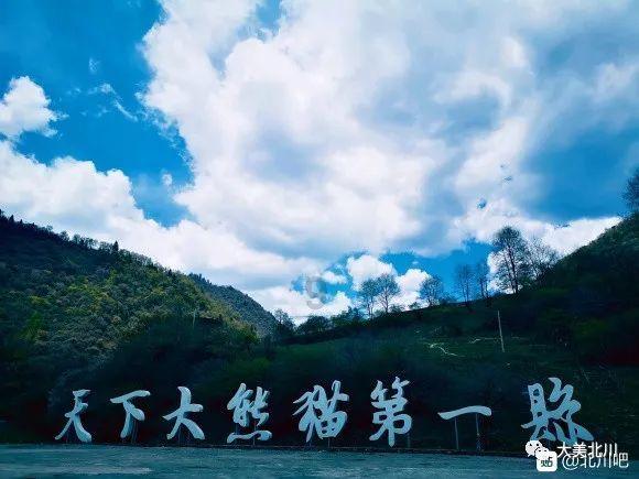 泰拉瑞亚